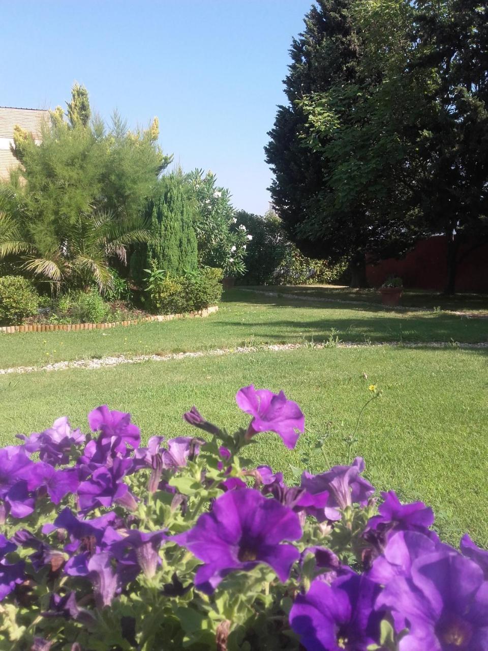 Sangüesa Hotel Yamaguchi מראה חיצוני תמונה